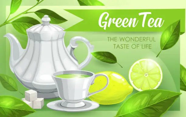 Vector illustration of Green tea, lime and leaves, tea pot and cup