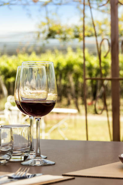 オープンエアのワインツーリズム、ブドウ畑、風景、グラス。 - pinot noir grape merlot grape cabernet sauvignon grape grape ストックフォトと画像