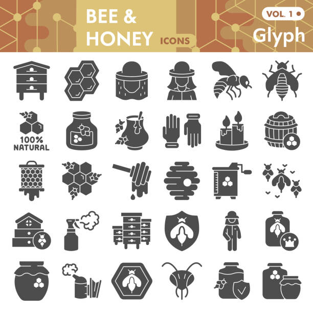 ilustrações de stock, clip art, desenhos animados e ícones de bee and honey solid icon set, beekeeping symbols collection or sketches. bee glyph style signs for web and app. vector graphics isolated on white background. - apicultor ilustrações