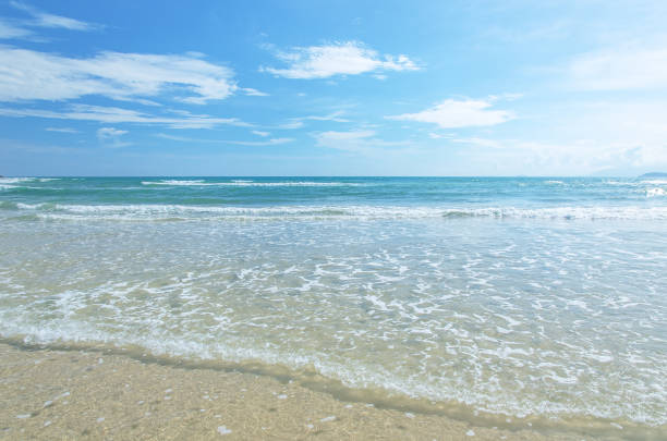 Tropical sea wave comes to shore
