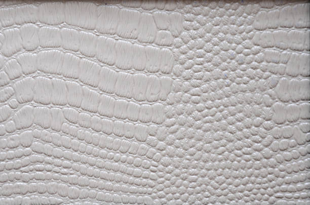 istock Lightened reptile skin close-up, natural pattern in white. 1253792429