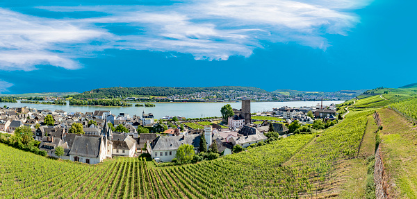 Ruedesheim, Germany - June 21, 2020: aerial view to scenic vineyards in Ruedesheim, Germany.
