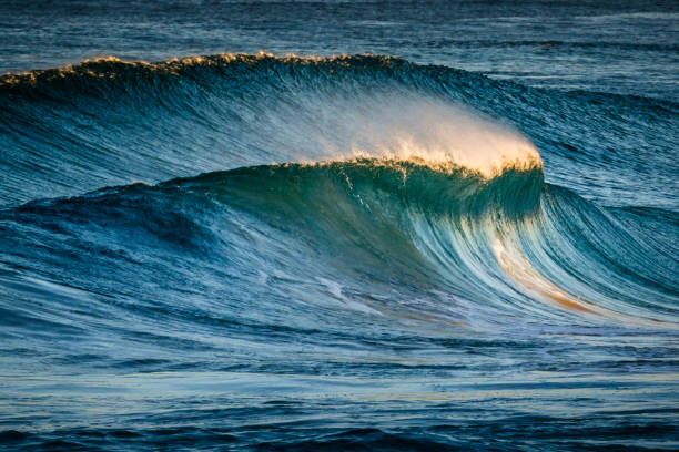 istock A large ocean wave breaking near shore 1253793802