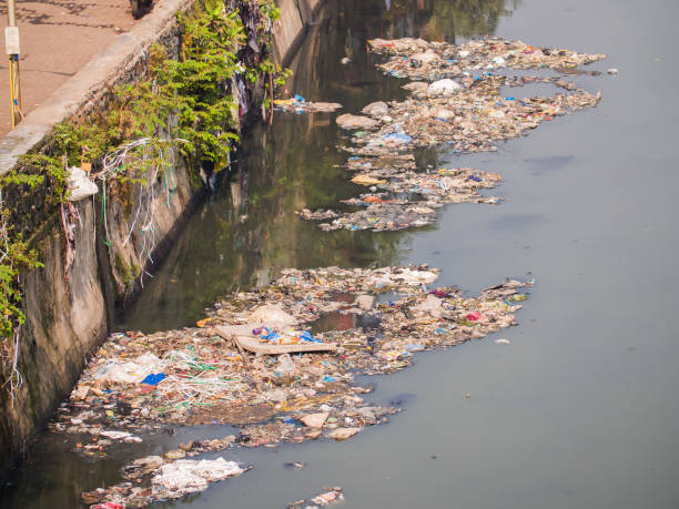 istock Dirty river in Dharavi slums. Mumbai. India 1253795603