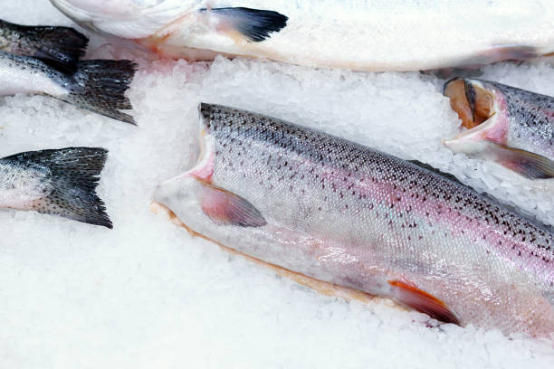 istock Fresh salmon fish on ice for sale in a hypermarket 1253797480