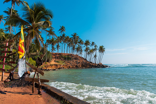Beautiful and scenic Coconut tree hill in Mirissa Sri Lanka for tropical travel wanderlust inspiration