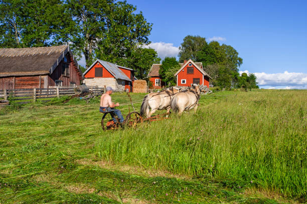 A horse with a cart stands on the field, and a villager sits in the cart.