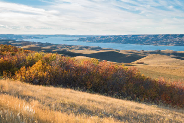 colline des feuilles d’automne et du lac diefenbaker - saskatchewan photos et images de collection