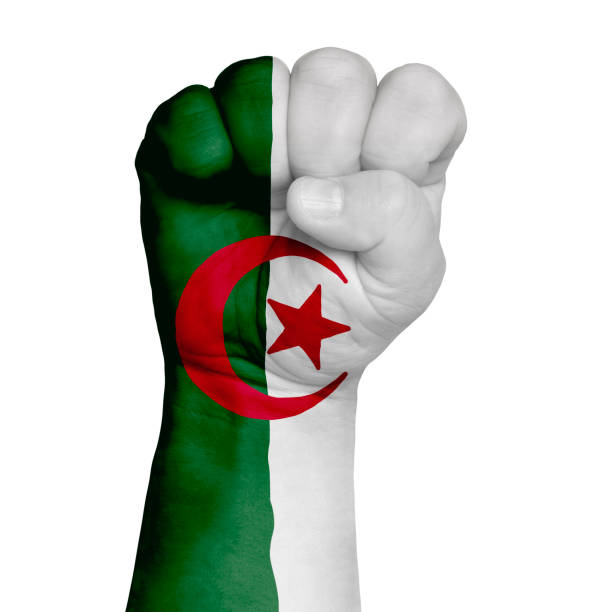 Fist of Algeria flag painted, multi purpose concept - isolated on white background