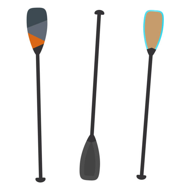 set of oars for rowing standing on a white background,