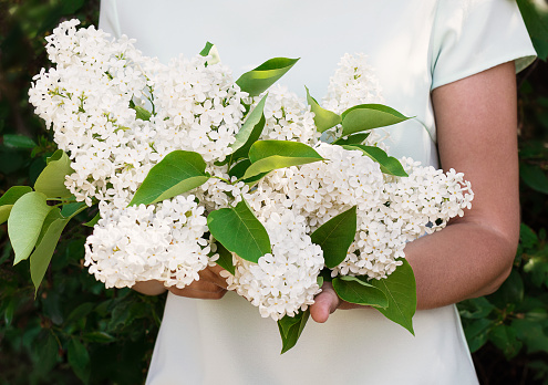 Spring bouquet of white lilac in women's hands close-up. Gardening.