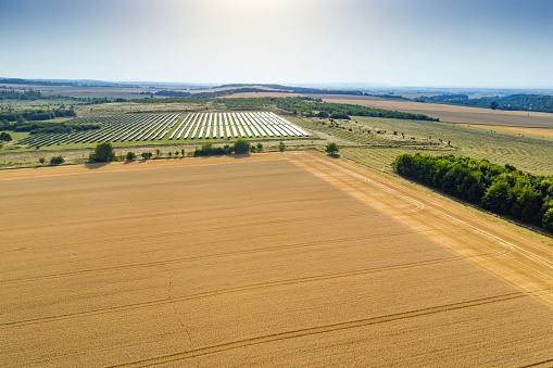 Aerial view over cereal field with solar cells in the back