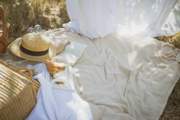A beautiful scene of a picnic in nature
