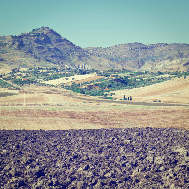 Olive Groves and Plowed Sloping Hills of Sicily in Spring, Instagram Effect