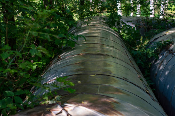 istock Pipeline in the forest among the thickets of trees 1253812552