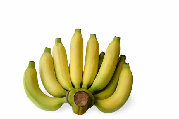 banana picture, yellow bananas, banana on white background. banana fruit close up