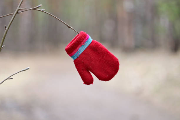 Lonely red children's mittens hanging on a twig above a forest path. Close-up.