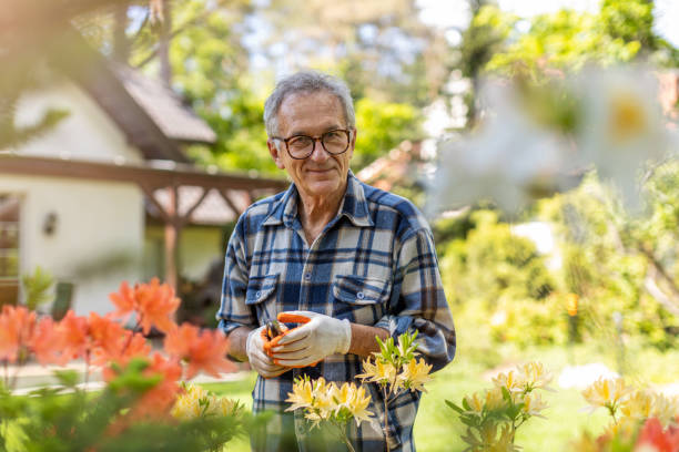 istock Mature man working in the garden 1253816103