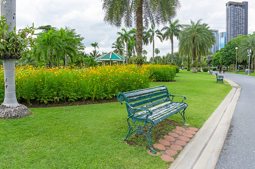 A green bench on green grass lawn by the walkway, flower blooming and palm trees on background under cloudy sky in good care maintenance landscape of public park