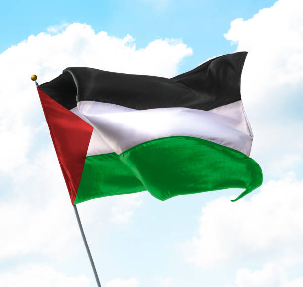 istock Flag of Palestine 1253824587