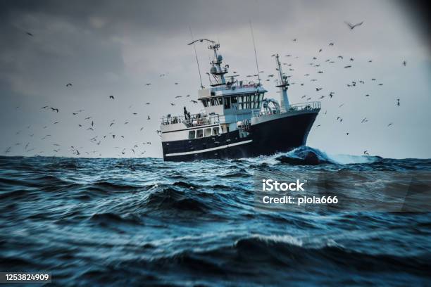 Fish Boat Vessel Fishing In A Rough Sea Industrial Trawler Stock Photo - Download Image Now