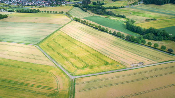 istock Agricultural area - view from above 1253824916