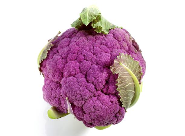 istock Purple Cauliflower, brassica oleracea, Vegetable against White Background 1253825770