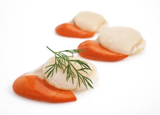 istock Fresh Scallops with Dill, pecten maximus against White Background 1253826005