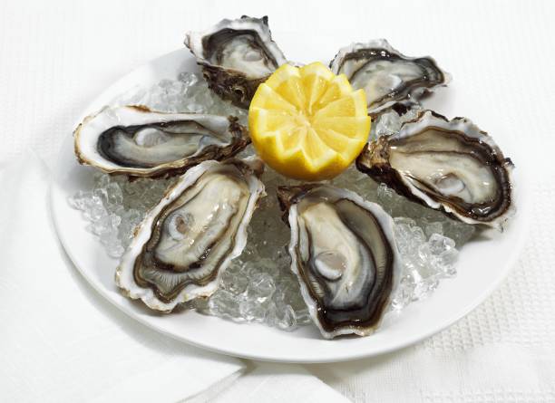 istock French Oyster called Marennes d'Oleron, Fresh Seafood on Ice 1253826175