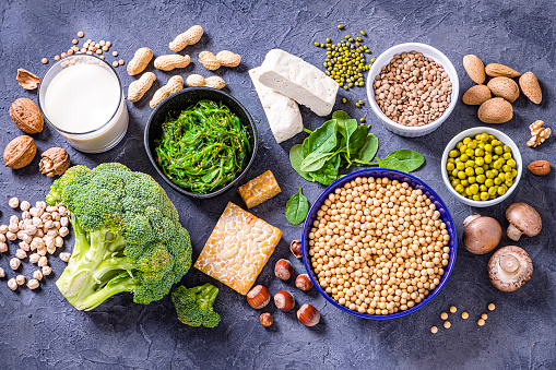 Top view of various kinds of vegan protein sources like tofu, tempeh, soy beans, soy milk, mushrooms, wakame, lentils, peanuts, spinach and chick peas. All the objects are on a gray bluish backdrop. Studio shot taken with Canon EOS 6D Mark II and Canon EF 24-105 mm f/4L