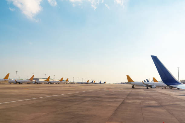 Free Stock Photo of Row of Airplanes on Airport Tarmac | Download Free ...