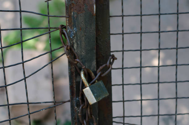 istock Padlock on the door. Iron gate. 1253831757
