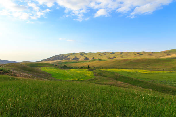 istock Beautiful spring and summer landscape. Lush green hills. Spring blooming herbs. 1253831927