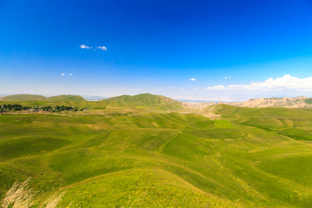 istock Beautiful spring and summer landscape. Lush green hills. Spring blooming herbs. 1253831987