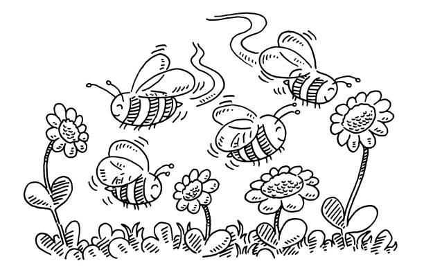 Cartoon Bees And Flowers Drawing Hand-drawn vector drawing of Cartoon Bees And Flowers. Black-and-White sketch on a transparent background (.eps-file). Included files are EPS (v10) and Hi-Res JPG. bee clipart stock illustrations