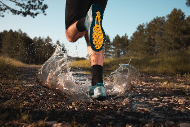 jogging matutino en un bosque - damp course fotografías e imágenes de stock