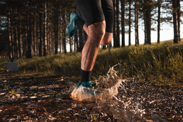istock Morning jogging in a forest 1253833315