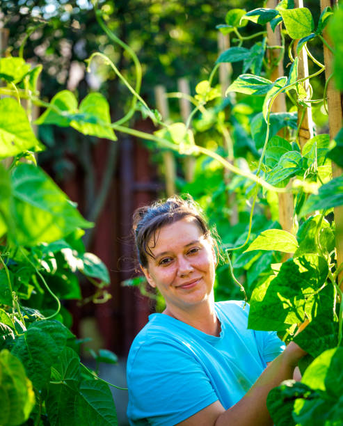 istock Young woman working in vegetable garden 1253833751