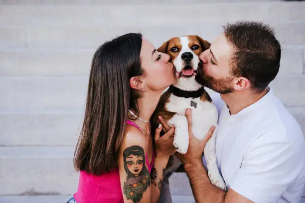 Photo of happy young couple outdoors kissing their beagle dog. Family and lifestyle concept