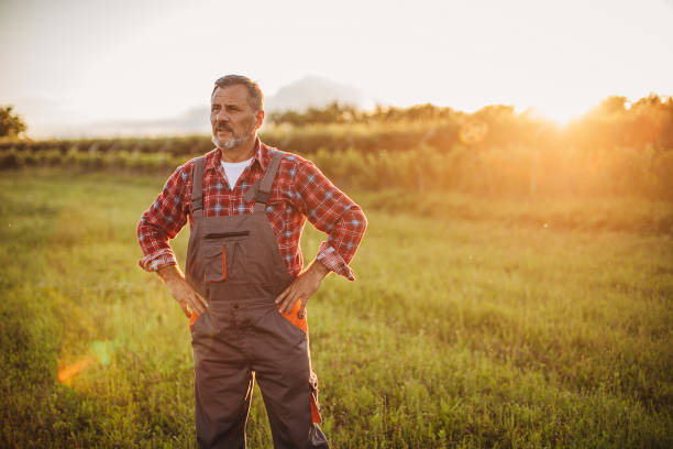istock Senior farmer in the field 1253835861