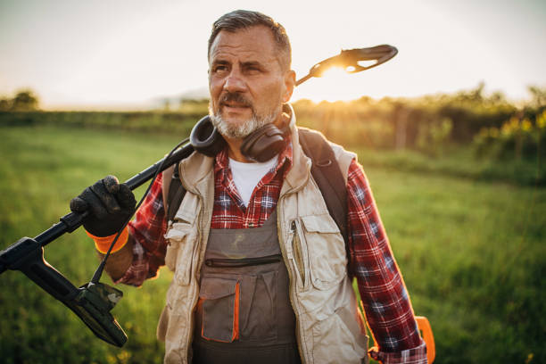 istock Man looking for treasure with a metal detector on the field 1253837733