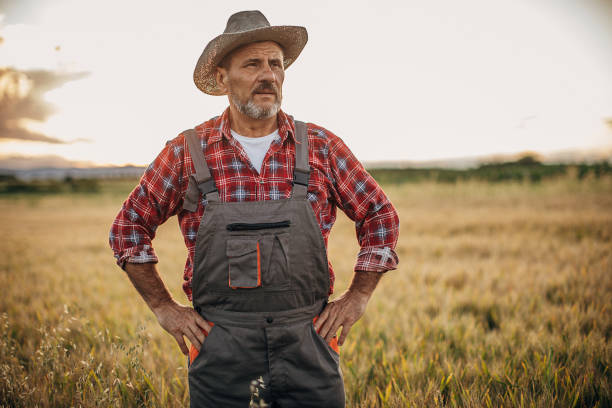 istock One farmer in the wheat field 1253841411