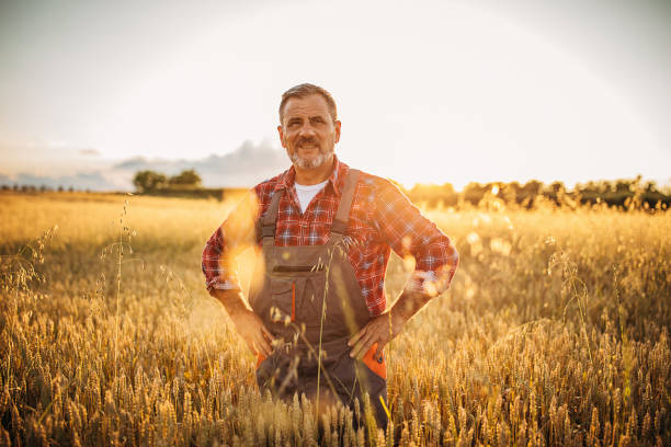 istock Farmer in the wheat field 1253841431