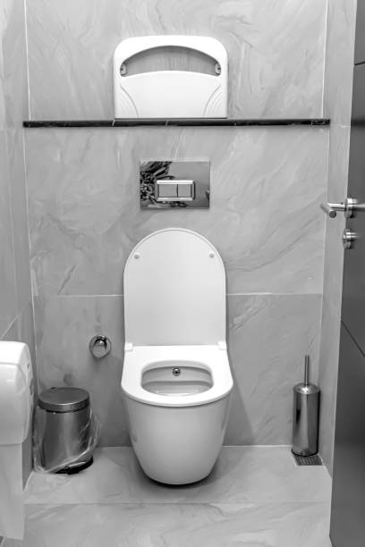 istock A modern public toilet in black and white 1253841440