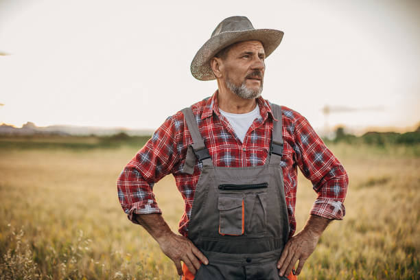 istock One senior farmer in the wheat field 1253841492