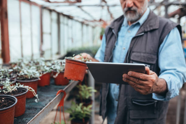 istock man working in greenhouse flower nursery 1253841570