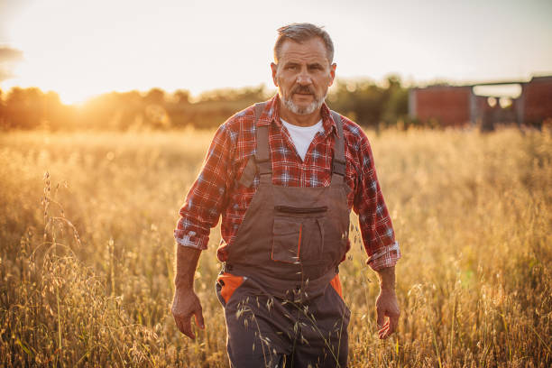 istock Senior farmer in the wheat field 1253841624