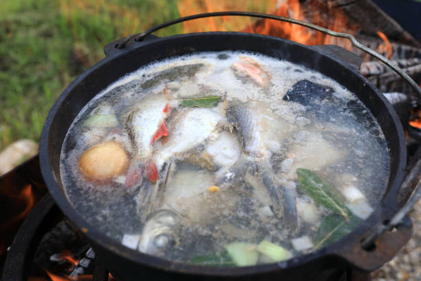 sopa de pescado rusa en caldero - caldo de pescado fotografías e imágenes de stock