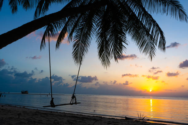istock A swing hangs on a palm tree on a tropical sandy beach by the ocean. Sunset on the beach 1253843755