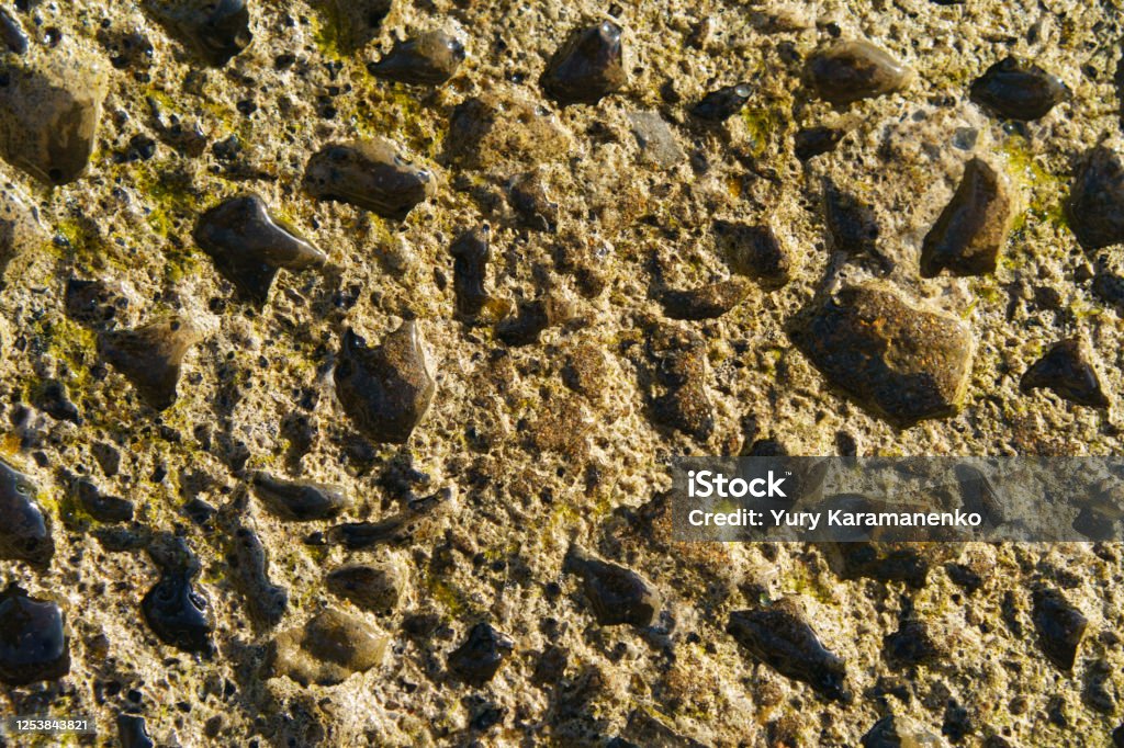 Basque Stone Texture Stone Texture Stock Photo - Download Image Now - Abstract, Ammonite ...